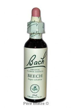 Beech - 20 ml - FLEURS DE BACH ORIGINAL - NELSONS