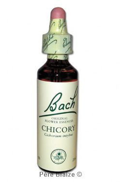 Chicory - 20 ml - FLEURS DE BACH ORIGINAL - NELSONS