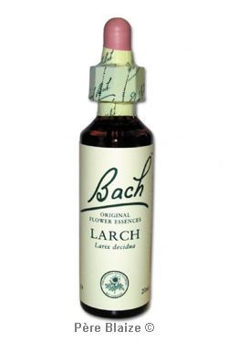 Larch - 20 ml - FLEURS DE BACH ORIGINAL - NELSONS