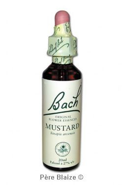 Mustard - 20 ml - FLEURS DE BACH ORIGINAL - NELSONS
