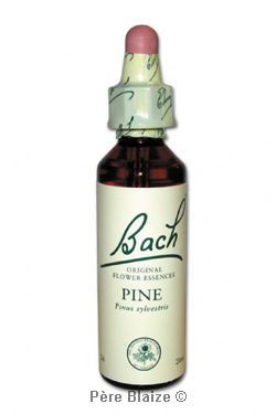 Pine - 20 ml - FLEURS DE BACH ORIGINAL - NELSONS