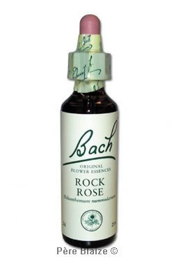 Rock rose - 20 ml - FLEURS DE BACH ORIGINAL - NELSONS