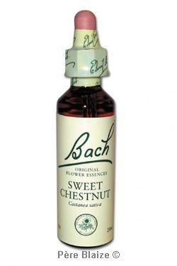 Sweet chestnut - 20 ml - FLEURS DE BACH ORIGINAL - NELSONS