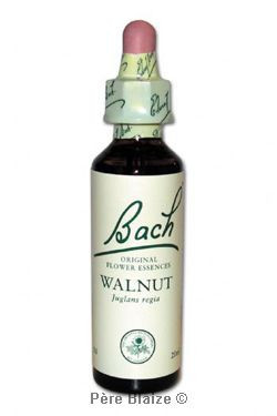 Walnut - 20 ml - FLEURS DE BACH ORIGINAL - NELSONS