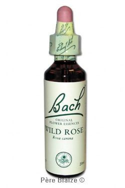 Wild rose - 20 ml - FLEURS DE BACH ORIGINAL - NELSONS