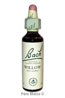 Willow - 20 ml - FLEURS DE BACH ORIGINAL - NELSONS