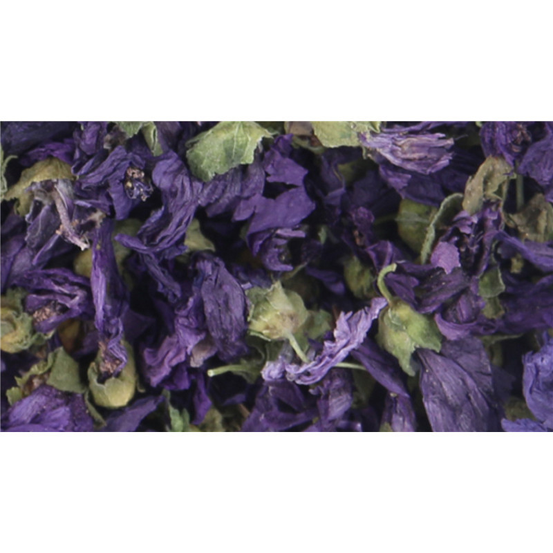 Violette - fleur - 25 g -...