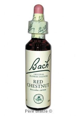 Red chestnut - 20 ml - FLEURS DE BACH ORIGINAL - NELSONS