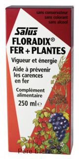 Floradix fer + plantes - 250 ml - SALUS