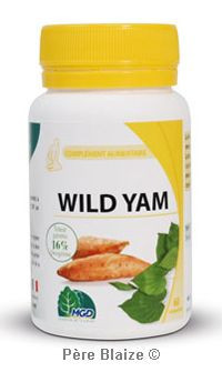 Wild Yam 16% (Rhizome, Dioscorea opposita) - 90 gélules - MGD