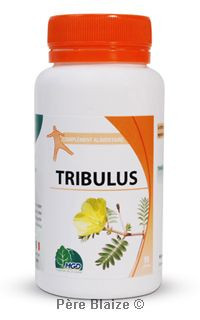 Tribulus - 90 gélules - MGD