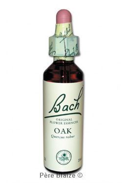 Oak - 20 ml - FLEURS DE BACH ORIGINAL - NELSONS
