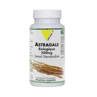 Astragale 500 mg - Extrait standardisé - 60 gélules - VIT'ALL+