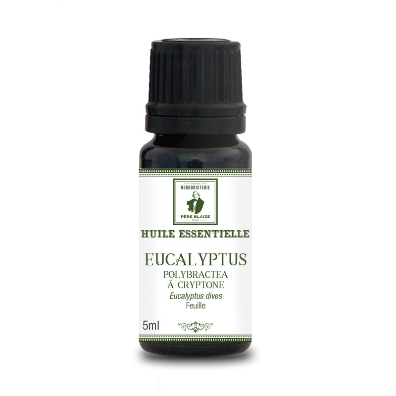 Huile Essentielle Eucalyptus polybractea à cryptone - PÈRE BLAIZE