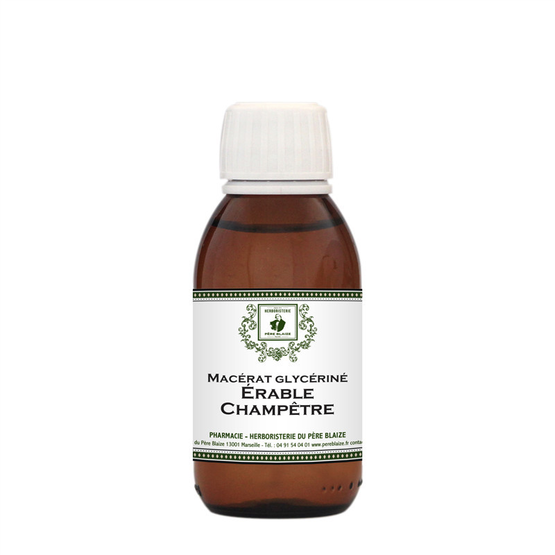 Macérât glycériné Erable champêtre 1DH BIO - PÈRE BLAIZE