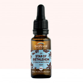 FDB 29 Star Of Bethlehem - Compte Gouttes BIO Demeter - 20 ml - BIOFLORAL