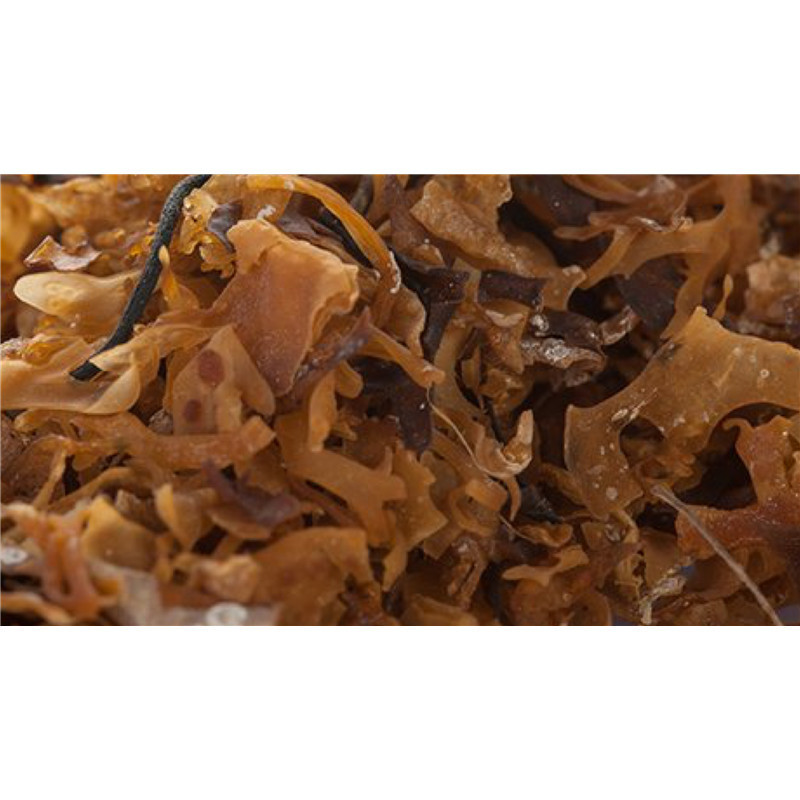 Carragahen - PÈRE BLAIZE