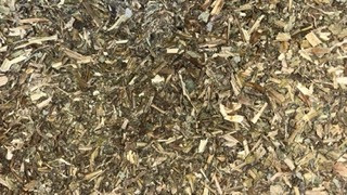 Chelidoine (Usage externe uniquement) - PÈRE BLAIZE