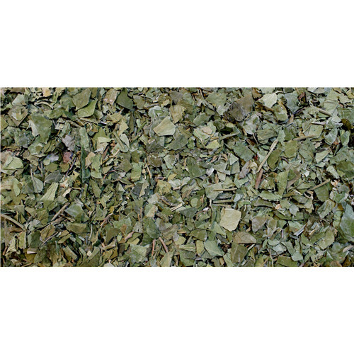 Gymnema sylvestris - PÈRE BLAIZE