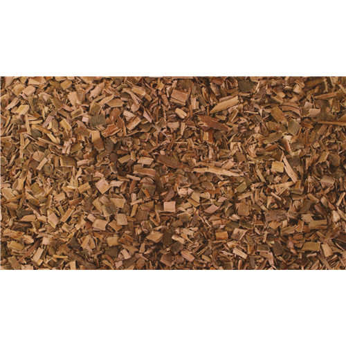 Saule - écorce - PÈRE BLAIZE