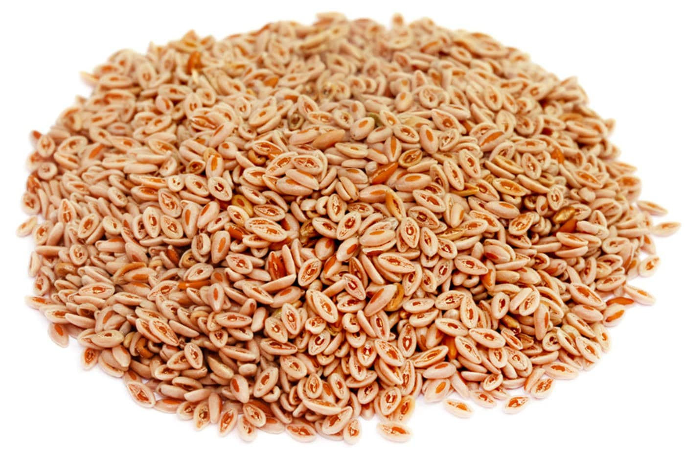 Psyllium - semence - PÈRE BLAIZE