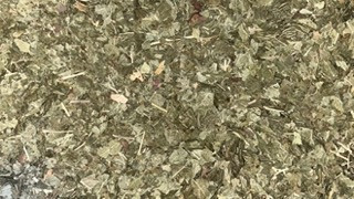 Cassis - feuille coupée -...