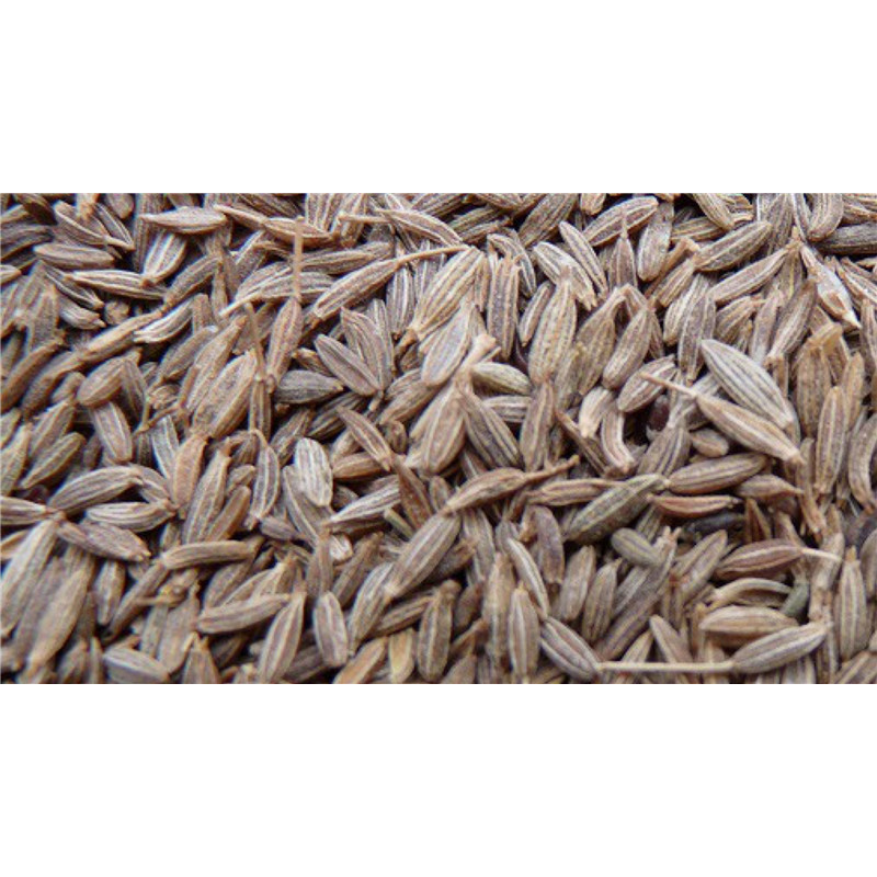 Cumin - semence - PÈRE BLAIZE