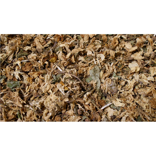 Acacia - fleur - PÈRE BLAIZE