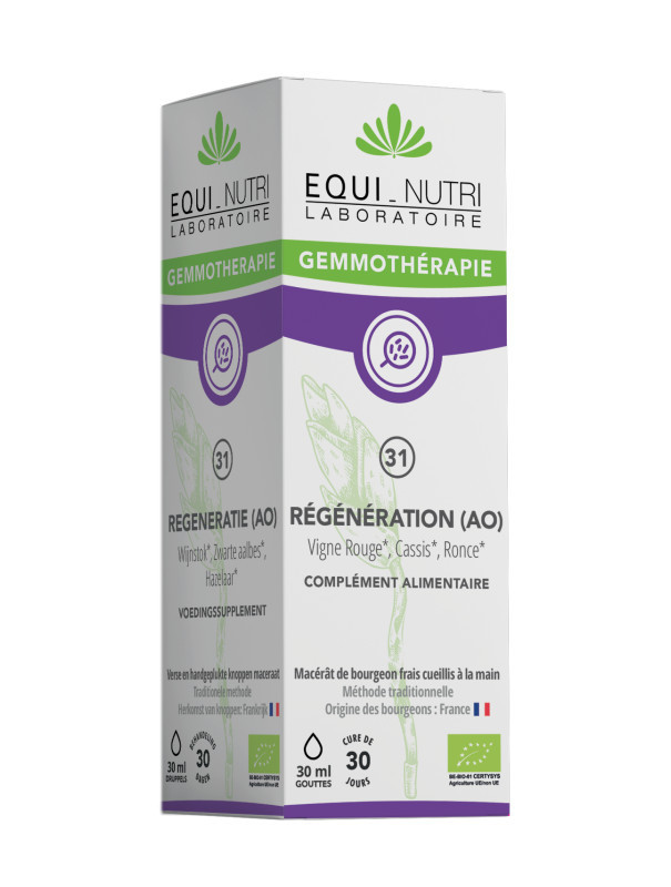 Bourgeons BIO - N°31 régénération - 30ml - EQUI-NUTRI