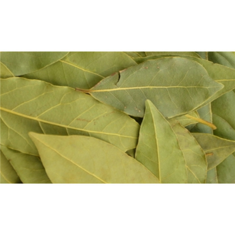 Laurier BIO - feuille - sachet de 20 g - PÈRE BLAIZE