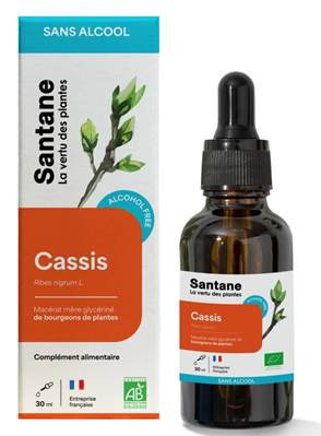 Macerat glycerine sans alcool de bourgeons - Cassis - 30 ml - SANTANE