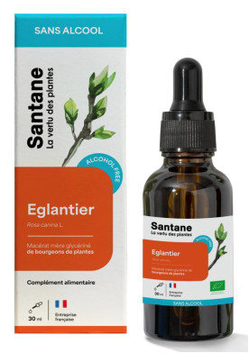 Macerat glycerine sans alcool de bourgeons - Eglantier - 30 ml - SANTANE