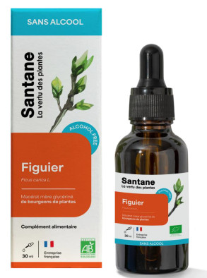 Macerat glycerine sans alcool de bourgeons - Figuier - 30 ml - SANTANE