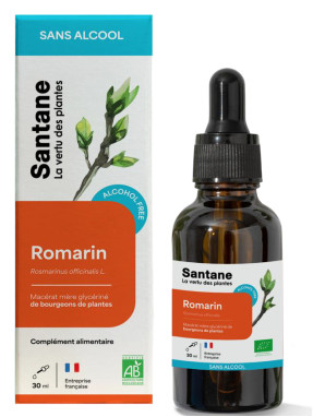 Macerat glycerine sans alcool de bourgeons - Romarin - 30 ml - SANTANE