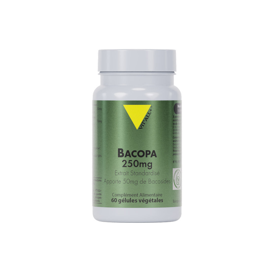 BACOPA MONNIERI 250mg Extrait Standardisé - Apporte 50mg de bacosides - 60 gélules végétales - VIT'ALL