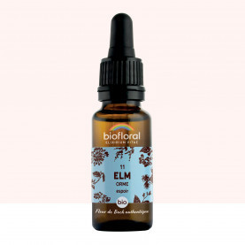 FDB 11 Elm, Orme - Compte Gouttes BIO Demeter - 20 ml - BIOFLORAL