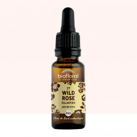 FDB 37 Wild Rose, Eglantier - Compte Gouttes BIO Demeter - 20 ml - BIOFLORAL