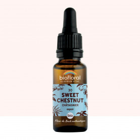FDB 30 Sweet Chestnut, Chataignier - Compte Gouttes BIO Demeter - 20 ml - BIOFLORAL