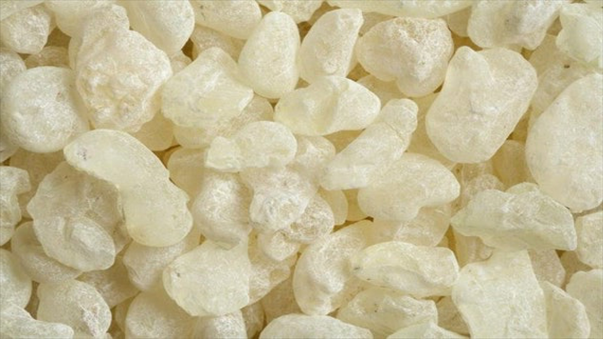 Mastic - larme - PÈRE BLAIZE