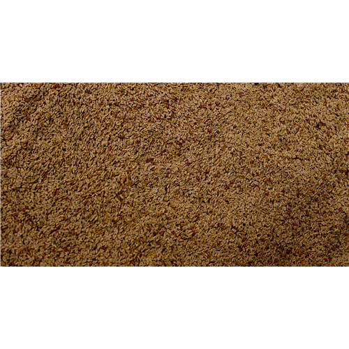 Ispaghul - semence - PÈRE BLAIZE