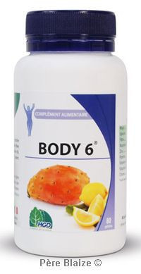 Body6 – 80 gélules – MGD