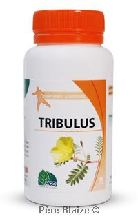 Tribulus – 90 gélules – MGD
