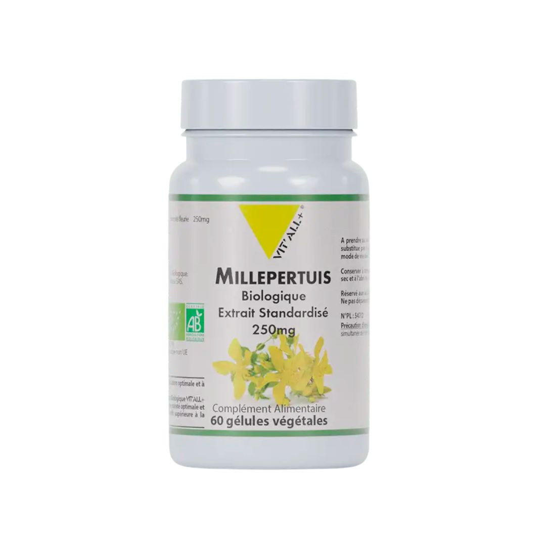 Millepertuis bio 250 mg extrait standardisé – 60 gélules végétales – VIT'ALL+