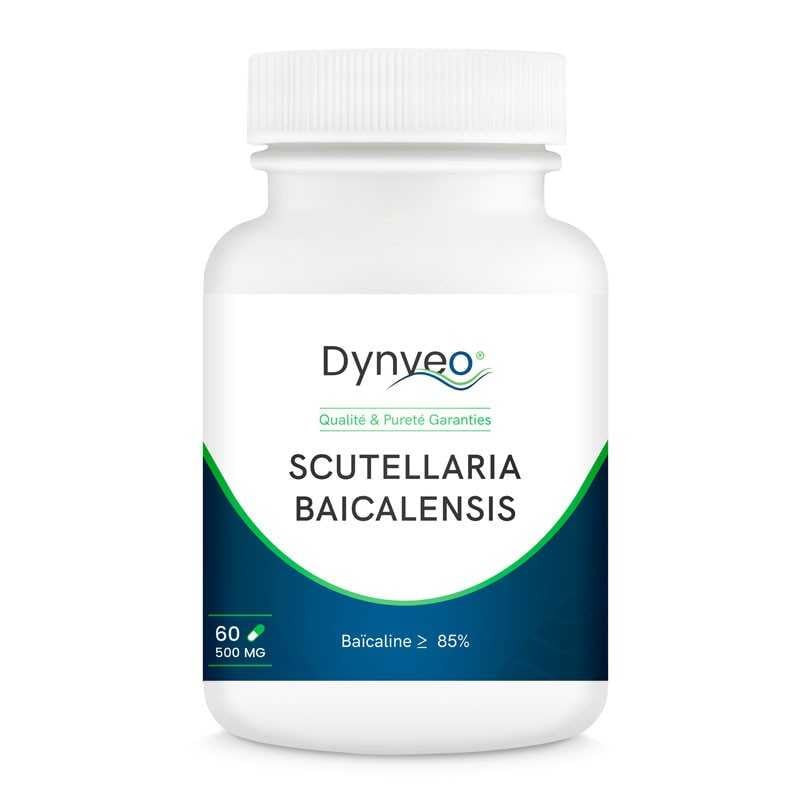 Scutellaria baicalensis (scutellaire) 85% baïcaline 500 mg – 60 gélules – DYNVEO