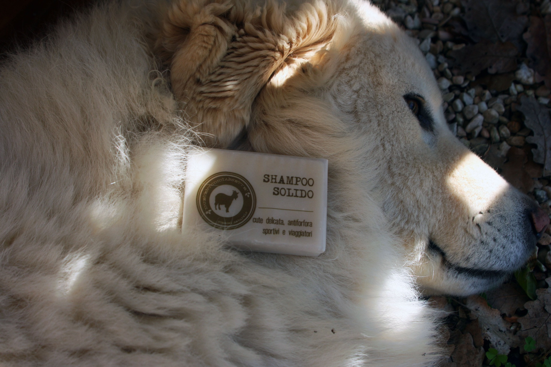 Shampoing solide  - 90 gr  - DUECENTODICIASSETTE
