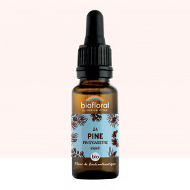 FDB 24 Pine, Pin Sylvestre - Compte Gouttes BIO Demeter - 20 ml - BIOFLORAL