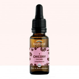 FDB 08 Chicory, Chicoree - Compte Gouttes BIO Demeter - 20 ml - BIOFLORAL