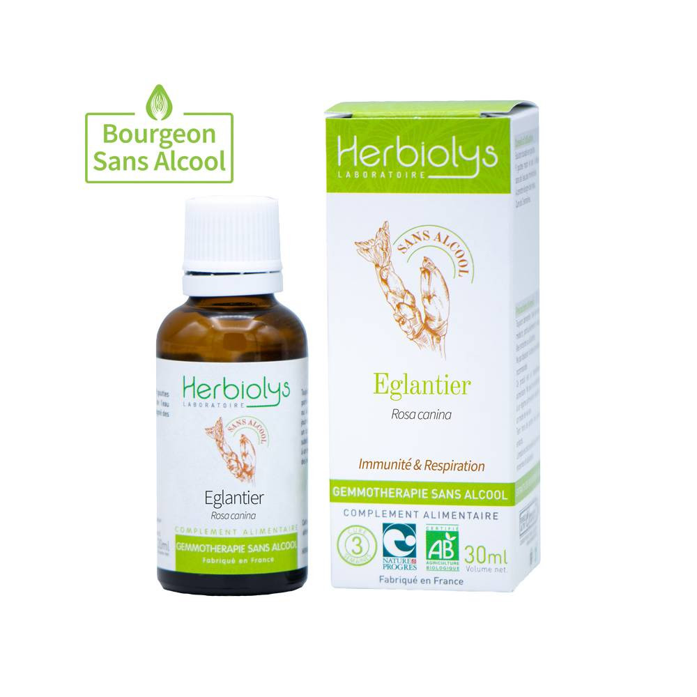 Gemmothérapie Eglantier - Macérat sans alcool 30 ml - Rosa canina - HERBIOLYS