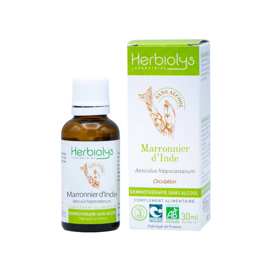 Gemmothérapie Marronnier d'Inde Bourgeon Bio – Macérat sans alcool 30 ml – HERBIOLYS